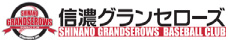 信濃グランセローズ