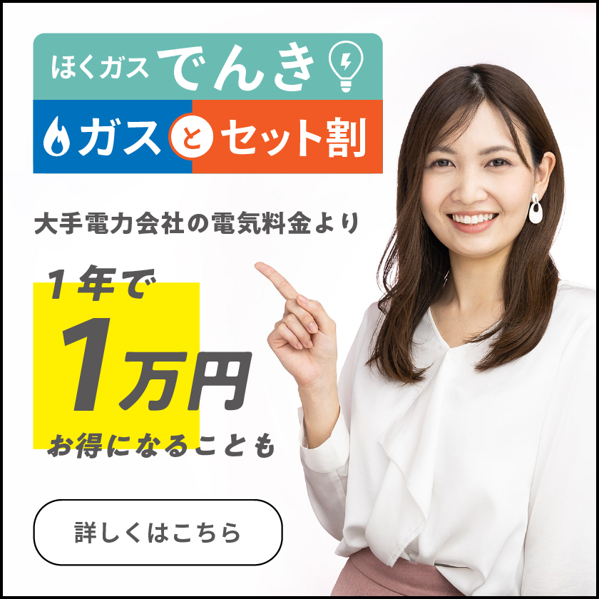 セット割プラン（ガス+でんき）